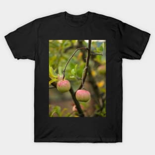 Closeup of ripe apples T-Shirt